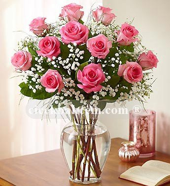 Sevgiliye Elit Pembe Gül Sevgiliye Elit Pembe Gül