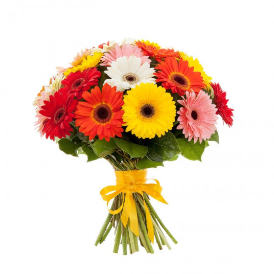 KARIŞIK JERBERA ALMAN PAPATYASI BUKETİ KARIŞIK JERBERA ALMAN PAPATYASI BUKETİ