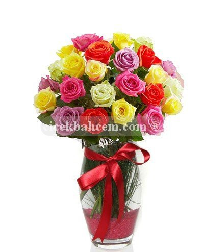 Aşkım - İki Düzine Renkli Güller Aşkım - İki Düzine Renkli Güller