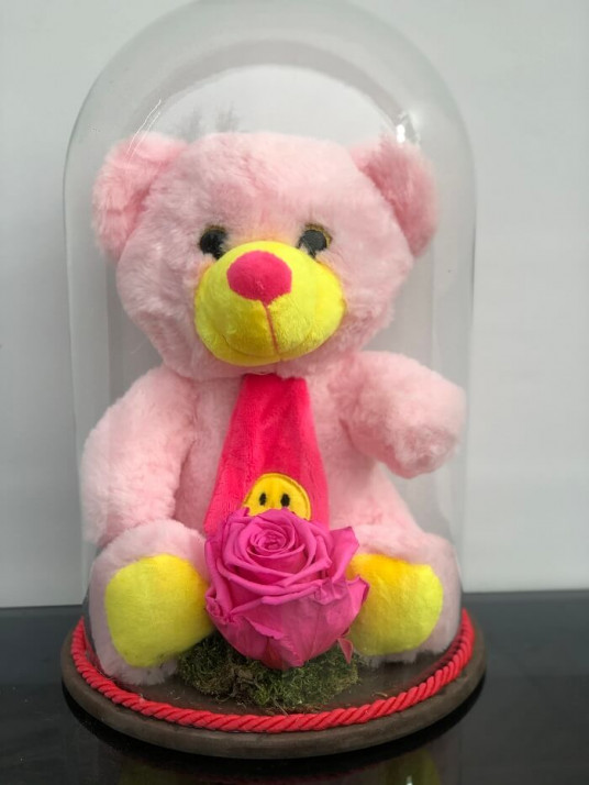 Solmayan Pembe Gül ve Pembe Pelüş Ayı Solmayan Pembe Gül ve Pembe Pelüş Ayı