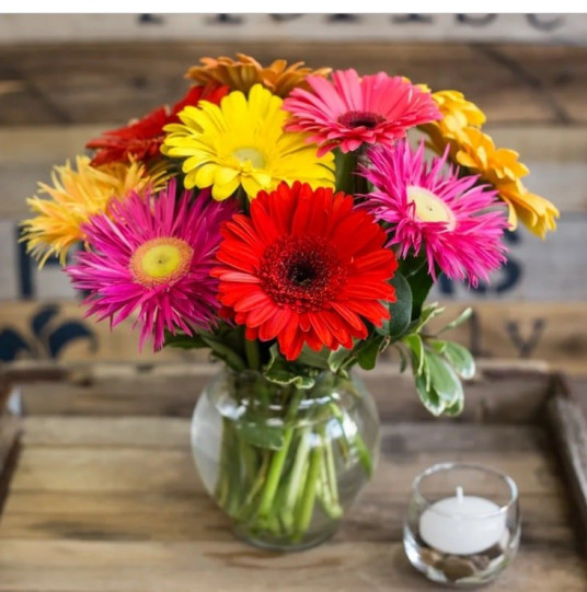 "Aşk Çümbüşü" Renkli Gerbera "Aşk Çümbüşü" Renkli Gerbera