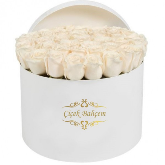 Yuvarlak Kutuda 41 Beyaz Gül Yuvarlak Kutuda 41 Beyaz Gül