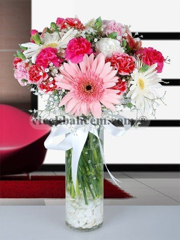 Beyaz, Pembe Gerbera ve Renkli Karanfil Aranjmanı Beyaz, Pembe Gerbera ve Renkli Karanfil Aranjmanı