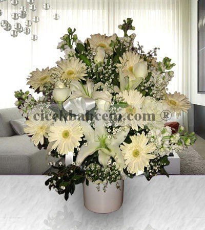 Beyaz Seramik Vazoda Şebboy Gerbera ve Beyaz Gül Aranjmanı Beyaz Seramik Vazoda Şebboy Gerbera ve Beyaz Gül Aranjmanı