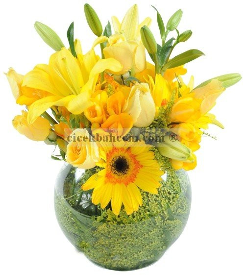 Cam Fanus İçine 5 Sarı Gül,Gerbera ve Lilyum Aranjmanı  Cam Fanus İçine 5 Sarı Gül,Gerbera ve Lilyum Aranjmanı