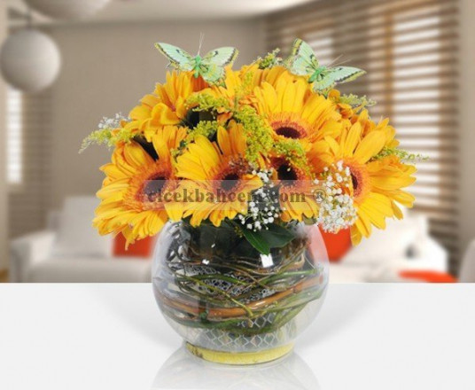 Cam Fanus İçine Sarı Gerbera Çiçeklerinden Hazırlanmış Aranjman Cam Fanus İçine Sarı Gerbera Çiçeklerinden Hazırlanmış Aranjman