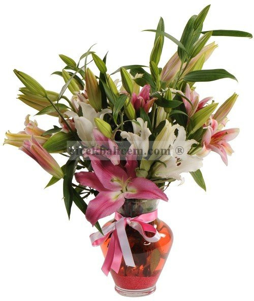 Cam Vazonun İçine Değişik Renklerde Lilyumlardan Aranjman Cam Vazonun İçine Değişik Renklerde Lilyumlardan Aranjman