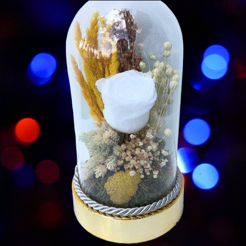 Beyaz Solmayan Gül Beyaz Solmayan Gül