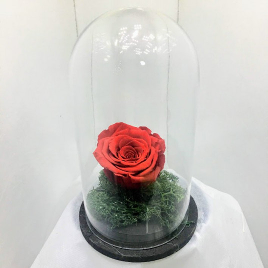 Solmaya Gül Siparişi Gönder Solmaya Gül Siparişi Gönder