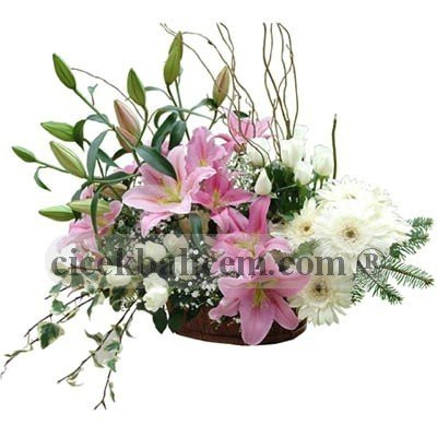 Sepet İçine Pembe Kokulu Lilyum 