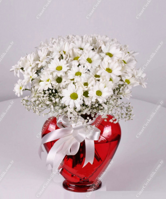 Beyaz Kır Çiçekleri, Çiçek Gönderme  Beyaz Kır Çiçekleri, Çiçek Gönderme