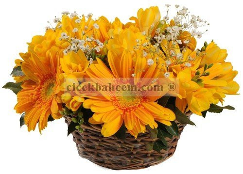 Örme Sepet İçine Sarı Gerbera ve Kır Çiçeklerinden Aranjman  Örme Sepet İçine Sarı Gerbera ve Kır Çiçeklerinden Aranjman