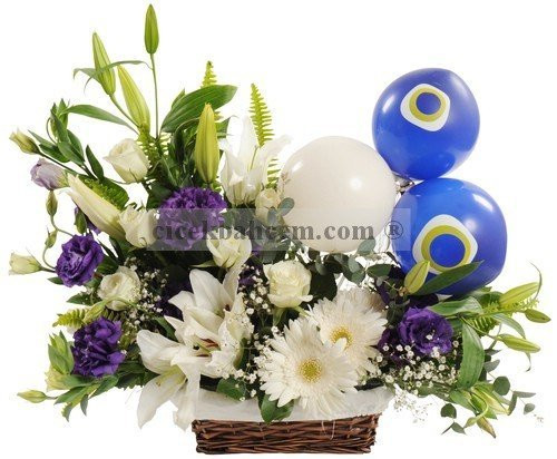Örme Sepete Lilyum,Gerbera, Beyaz Gül Hoşgeldin Bebek Erkek Örme Sepete Lilyum,Gerbera, Beyaz Gül Hoşgeldin Bebek Erkek