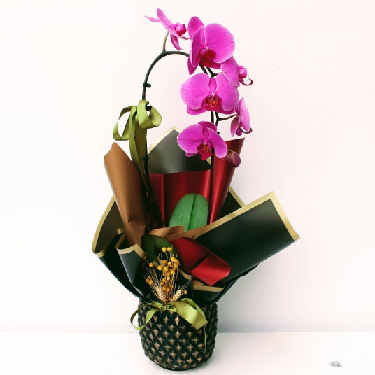 Pembe Eğimli Orkide - Dekoratif Black Vazoda Pembe Eğimli Orkide - Dekoratif Black Vazoda