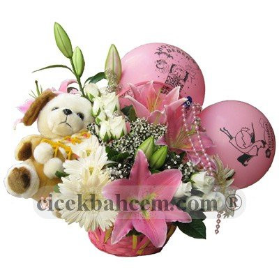 Pembe Gerbera ve Kokulu Lilyum, Hoşgeldin Bebek Pembe Gerbera ve Kokulu Lilyum, Hoşgeldin Bebek