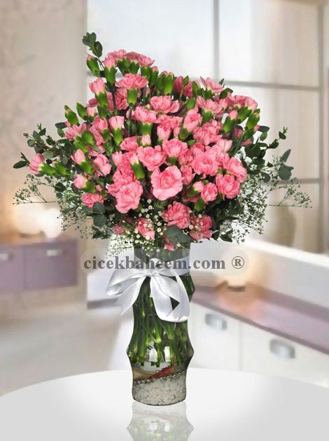 Pembe Karanfil Aranjmanı Pembe Karanfil Aranjmanı