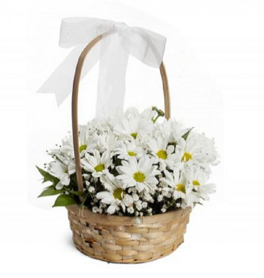 Graceful White Chrysanthemum Arrangement Graceful White Chrysanthemum Arrangement