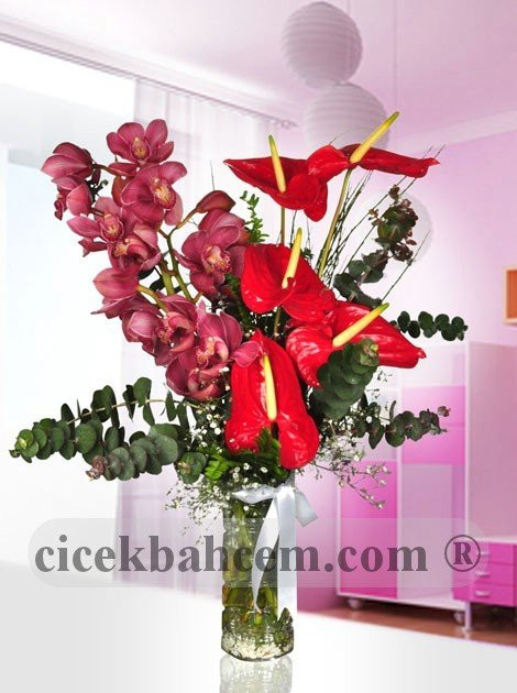 Silindir Cam Vazo İçine Pembe Orkide ve Antorium Silindir Cam Vazo İçine Pembe Orkide ve Antorium