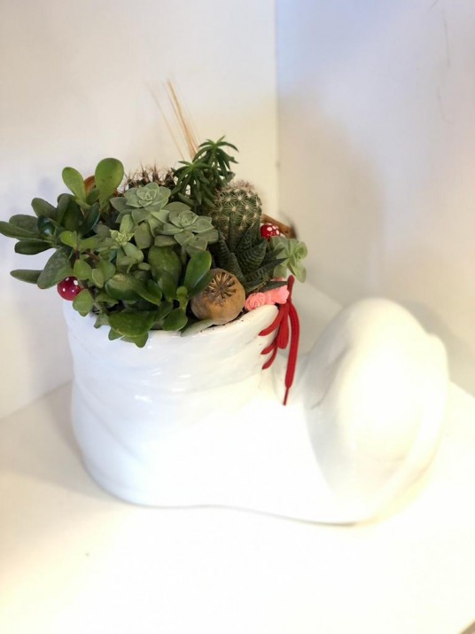 Beyaz Pabuç İçinde Canlı Sukulent Tasarımı Beyaz Pabuç İçinde Canlı Sukulent Tasarımı