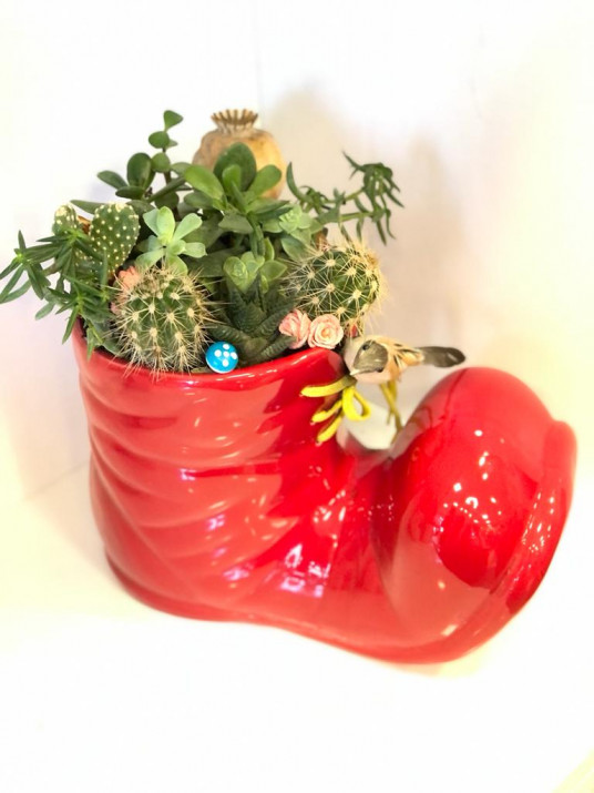 Seramik Kırmızı Pabuç Özel Sukulent Teraryum (Terrarium) Seramik Kırmızı Pabuç Özel Sukulent Teraryum (Terrarium)