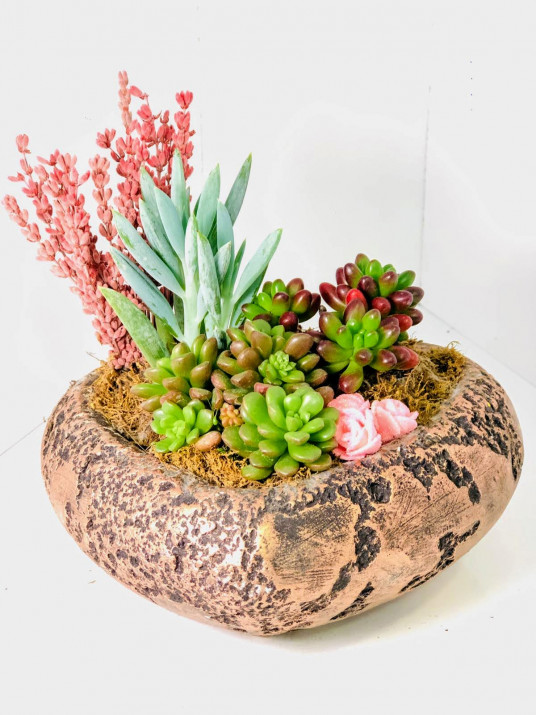 Kalp Succulent Tanzim Kalp Succulent Tanzim