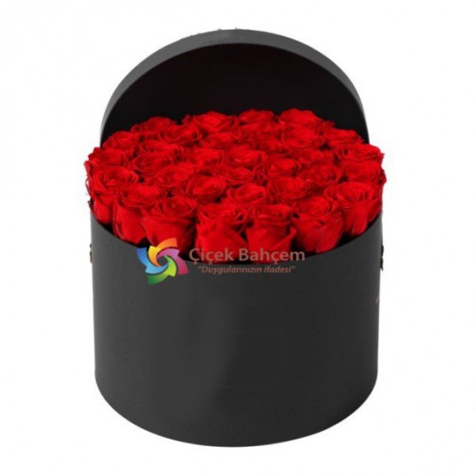 Siyah Yuvarlak Kutu İçinde 35 Adet Kırmızı Gül Siyah Yuvarlak Kutu İçinde 35 Adet Kırmızı Gül
