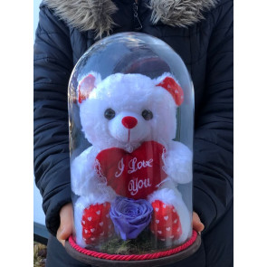 Solmayan Mor Gül ve Beyaz Pelüş Ayı