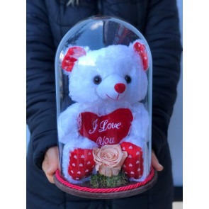 Solmayan Somon Gül ve Beyaz Pelüş Ayı