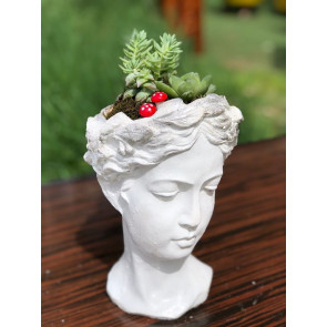 Beyaz Büyük Helen Obje İçinde Kaktüs