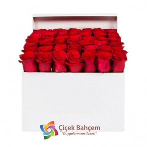 Beyaz Şık Kutu İçinde 41 Adet Kırmızı Gül