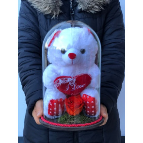 Solmayan Kırmızı Star Gül ve Beyaz Pelüş Ayı