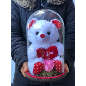 Solmayan Pembe Star Gül ve Beyaz Pelüş Ayı