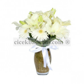 Sensiz Olmaz, Beyaz Gerbera ve Lilyum