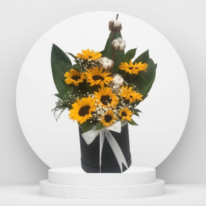 Günebakan Çiçekleri