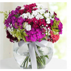 Special Wildflowers