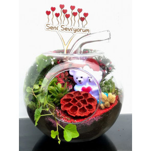 SEVGİLER GÜNÜNE ÖZEL TERARYUM