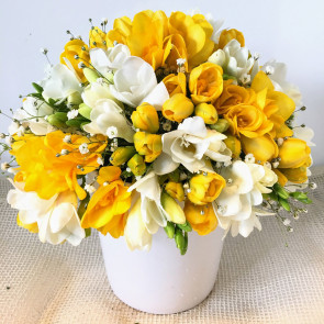 Kalplerin Mutluluk İlacı Frezya