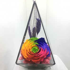 Renk Kuşağı XXL Büyük Boy Solmayan Gül