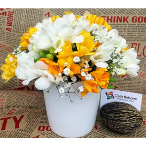 Yazın Müjdecisi Kokulu Firezya