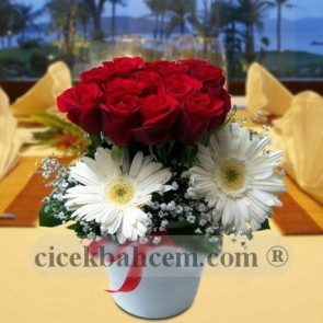 Kırmızı Gül ve Beyaz Gerbera Aranjmanı