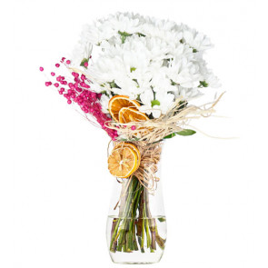 My Beautiful White Daisy