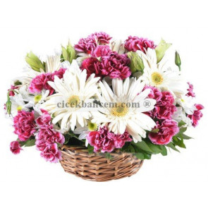 Sepet İçide Kokulu Karanfil ve Beyaz Gerbera