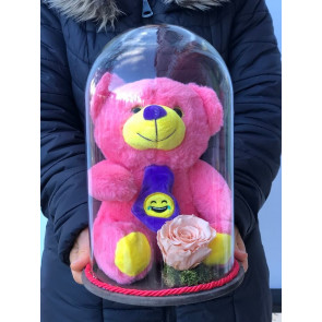 Solmayan Somon Gül ve Pembe Pelüş Ayı