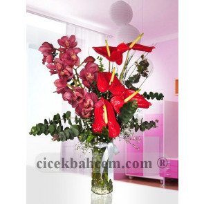 Silindir Cam Vazo İçine Pembe Orkide ve Antorium