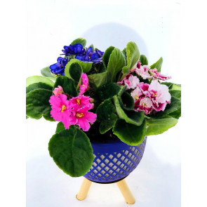 Joyce Ayaklı Dekoratif Mavi Vazoda Menekşe