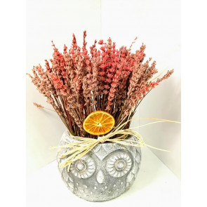 Kuru Lavanta Arajmanı