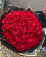 101 Adet Kırmızı Gül Buketi - Ankara Aynı Gün Teslimat