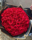 101 Adet Kırmızı Gül Buketi - Ankara Aynı Gün Teslimat