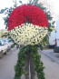 Kırmızı ve Beyaz Karanfil Kullanılarak Hazırlanmış Cenaze Çelenkleri